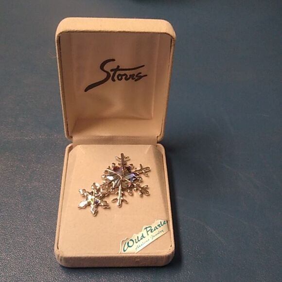 Vintage Stores Wild Earle Abalone Silver tone Snow Flakes Brooch in Velvet box - Picture 1 of 7